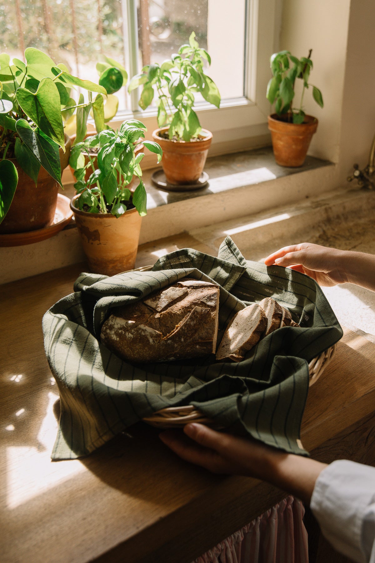 Caper green striped tea towel in slub cotton